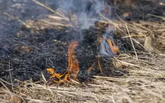 Степной пожар тушат в Костанайской области