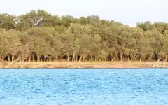 Казахстан получит 3,7 млрд кубометров воды по реке Сырдарья в поливной период