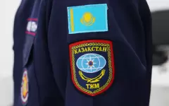 Спасатели поймали две змеи в доме жительницы Алатау