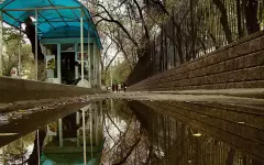 Дожди и потепление до 26 градусов обещают в Алматы на этой неделе