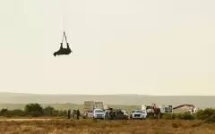 Зоозащитники показали необычный способ по перевозке носорогов