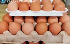 Казахстан ввел временный запрет на ввоз куриных яиц