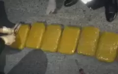 Собака помогла найти наркотики в машине, которую остановили на трассе в Жамбылской области