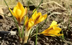 Прогноз погоды в Казахстане на 9 апреля