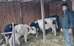 Чтобы успешно влиться в общество