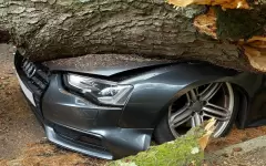 Во что обойдется ураган алматинским автовладельцам?