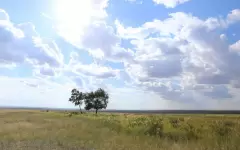 Членов земельной комиссии наказали за нарушение в СКО