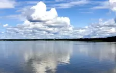 Земельный участок стоимостью 117 миллионов тенге незаконно передали в пользование в СКО
