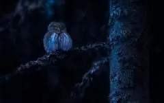 Ночью в Казахстане будет не по-весеннему холодно