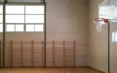 Тренируются в квартирах и подвалах: депутат раскритиковал программу ART Sport