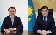 Акимов наказали в Акмолинской области