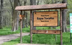 В Алматы проведут благоустройство рощи Баума и БАК