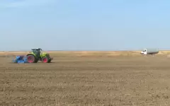 К посеву ранних сортов пшеницы и люцерны приступили в Кызылординской области