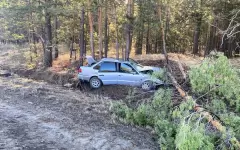 Съехал с дороги и врезался в деревья: водитель погиб в аварии в области Абай