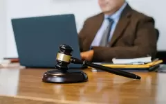 Сократить вузы по подготовке юристов предложила эксперт