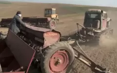 Посевы зерновых и зернобобовых культур сократят на 115 тысяч га