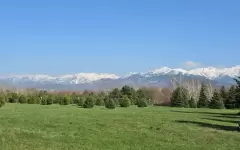 По-летнему жаркая погода ждет алматинцев в ближайшие выходные