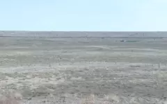 Неосвоенные земли в Улытау вернули в собственность государства