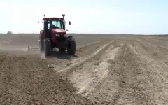 Посев сахарной свёклы начался в Жетысу