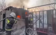 55 человек эвакуировали из-за пожара на дачах близ Павлодара