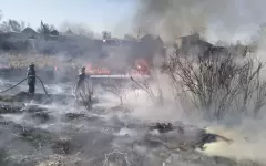Дачные дома чуть не сгорели из-за сухой травы в Семее