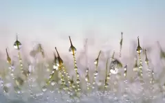 Каких областей Казахстана коснулось штормовое предупреждение