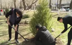 «Таза Қазақстан»: на улицах Караганды высадили 500 деревьев