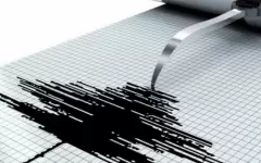 Землетрясение зафиксировали в 447 километрах от Алматы