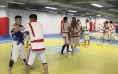 Более 8 млн казахстанцев охвачены спортом и физкультурой