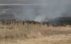 Дроны помогут следить за пожарной безопасностью в Костанайской области