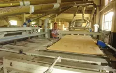 В ВКО из-за дефицита сырья под вопросом оказалась реализация важных инвестпроектов