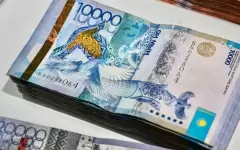 Рекордные 244 миллиона тенге направили на борьбу с комарами в Атырау