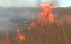 Высокий уровень пожарной опасности объявлен в дельте реки Или
