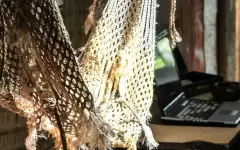 Россиянка застряла в гамаке для йоги и попала в больницу