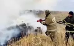 В Зайсанском районе ВКО загорелся камыш и сухостой