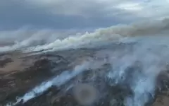 32 лесных пожара зарегистрировали в стране с начала года