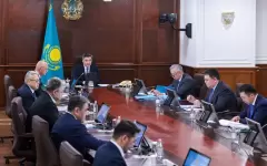 Бектенов поручил наказать виновных в лесных пожарах