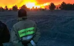 Оперативно не оповестили: Бектенов поручил наказать виновных в лесных пожарах