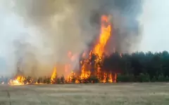 Камыш и сухая трава горят на труднодоступной местности в ВКО