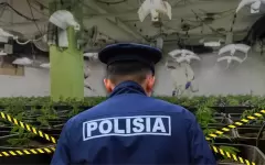 Спецоперация в Алматы: ликвидация фитолаборатории и задержание подозреваемого