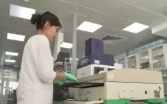 В Казахстане могут разрешить промышленное выращивание конопли