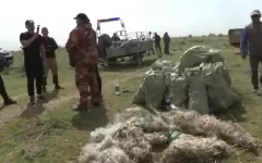 20 км рыболовных снастей извлекли из Капчагайского водохранилища