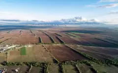 Неиспользуемые земли стоимостью 24 миллиона тенге вернули государству в ЗКО