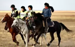 Синергия спорта и культуры