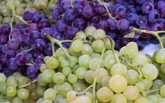 Молдова потеряла статус мирового производителя вина
