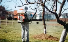 Зелёные насаждения Алматы обработают от вредителей