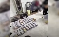 Деятельность 4 финпирамид пресекли в Шымкенте в этом году