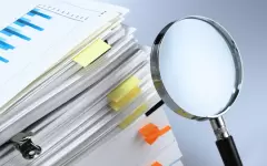 Более 200 проверок с начала года провели социнспекторы в целях защиты прав СУСН