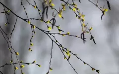 Прогноз погоды в Казахстане на 18 апреля