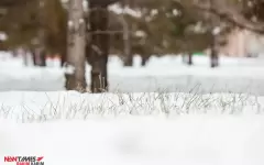 В Астане неожиданно выпал снег